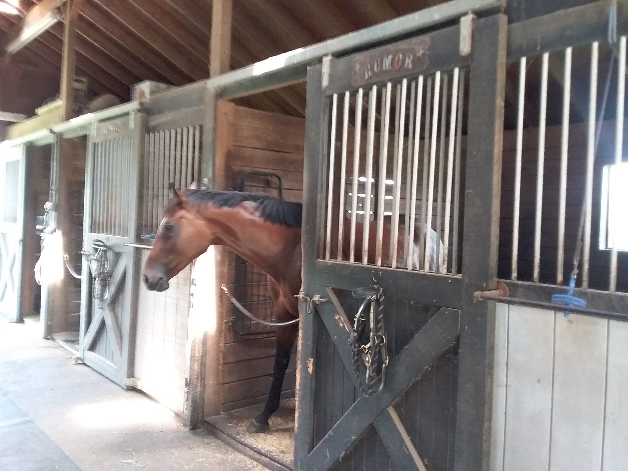 Horse stalls before renovation