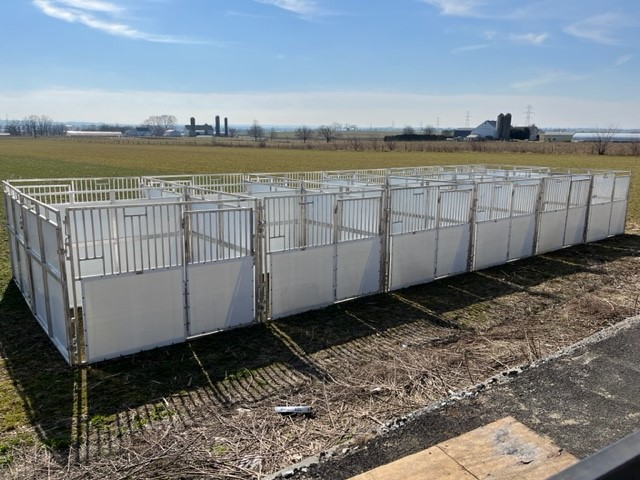 New Design Portable Horse Stalls