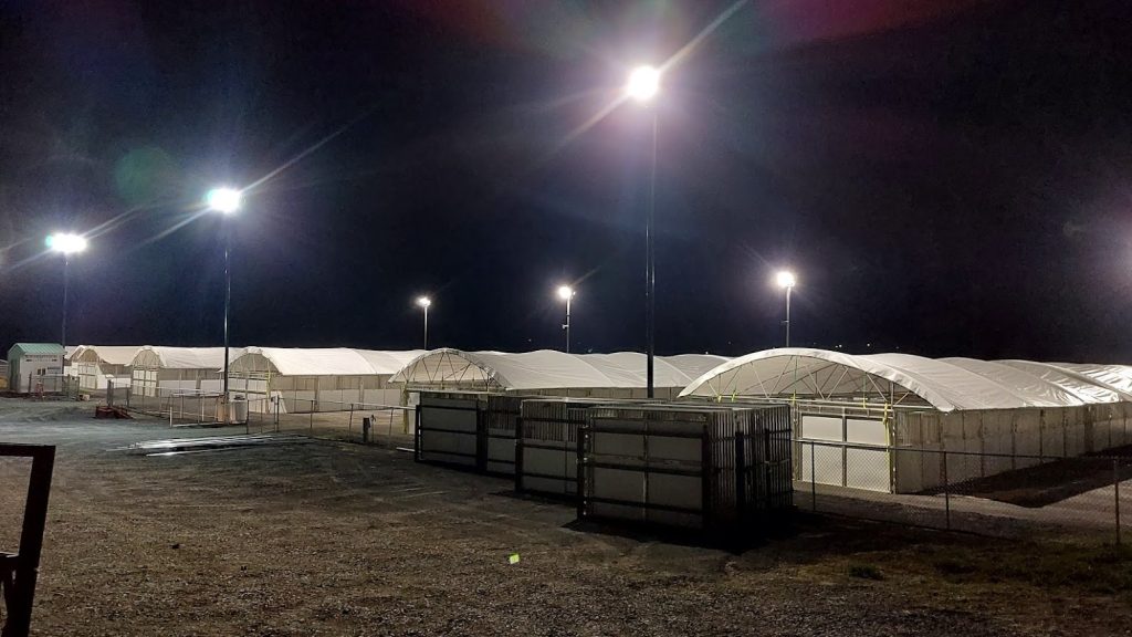 Portable Horse Stalls Outdoors at Night