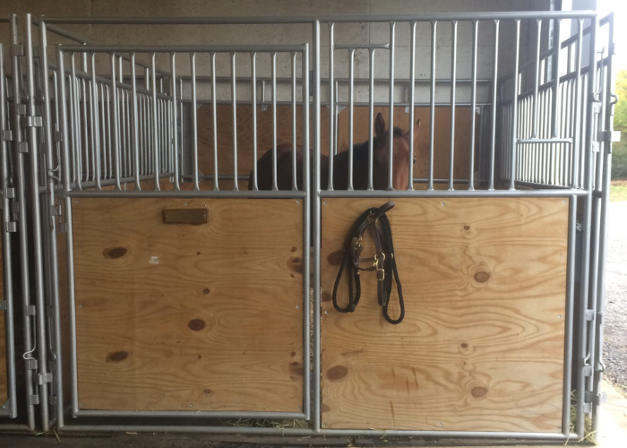 Wood and metal portable horse stall with a brown horse inside.