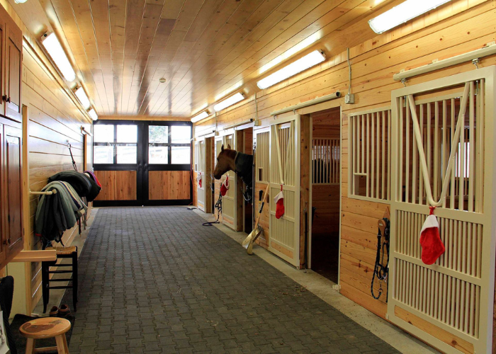 Interior of renovated horse barn with wood siding, aisle ceiling lights, and a horse in a stall.