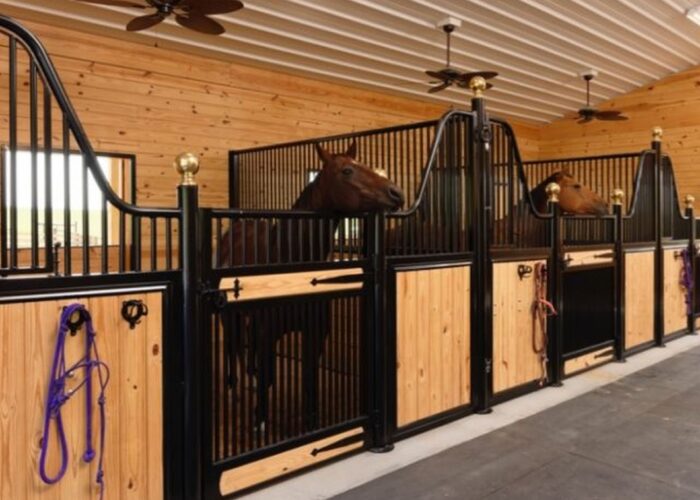 custom-horse-stalls19