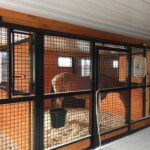 custom-horse-stalls27