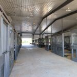 custom-horse-stalls32