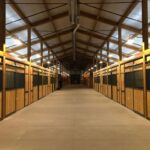 custom-horse-stalls34