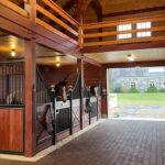 custom-horse-stalls5