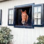 exterior-barn-doors7