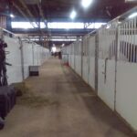 portable-horse-stalls2