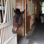 stalls-doors-boyce14