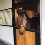 stalls-doors-boyce15