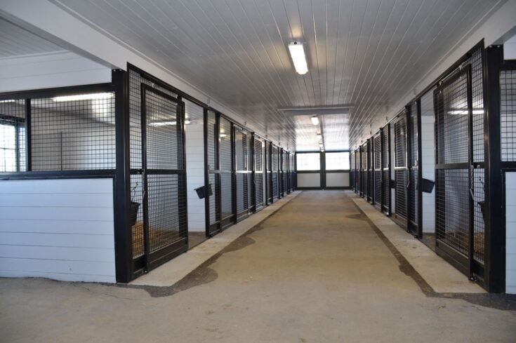 Custom Horse Stalls and Exterior Barn Doors in Chesapeake City, MD