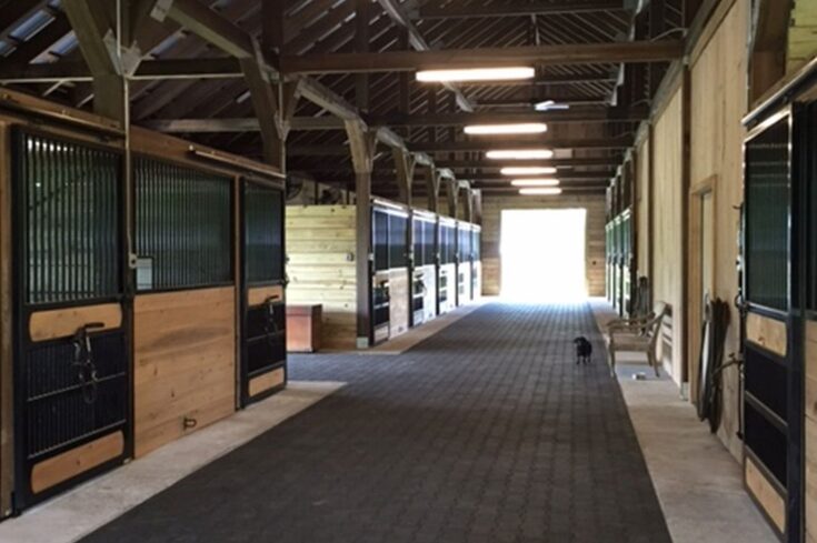 Custom Horse Stalls and Exterior Barn Doors in St. Simons Island, GA