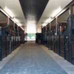 custom-horse-stall-somerville3