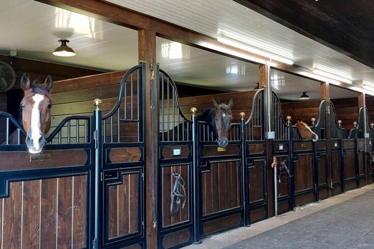 Custom Horse Stalls & Horse Barn Renovation in Somerville, NJ