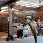 custom-horse-stall-somerville8