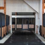 custom-horse-stalls-christiana14