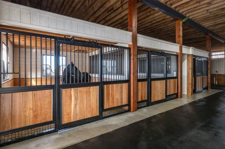 Custom Premium Horse Stalls in Christiana, PA