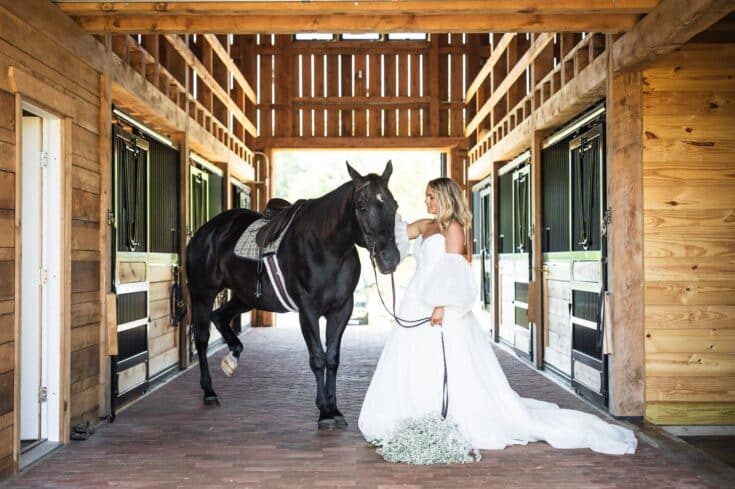Custom Premium Horse Stalls in Christiana, PA