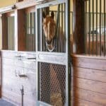 custom-horse-stalls4
