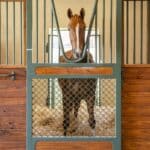custom-horse-stalls5