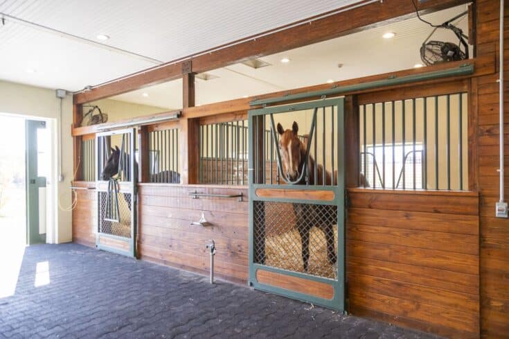 Custom Premium Horse Stalls in Christiana, PA