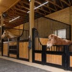 custom-horse-stalls-west-end-nc13