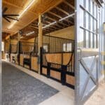 custom-horse-stalls-west-end-nc3