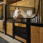 custom-horse-stalls-west-end-nc5