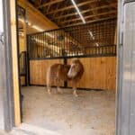 custom-horse-stalls-west-end-nc7