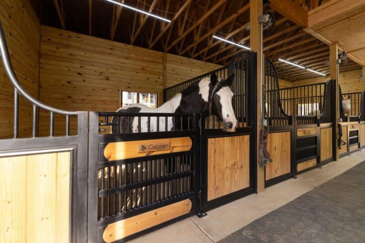 Custom Horse Barn & Stalls in Milford, NJ