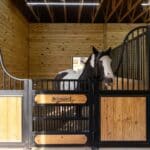 custom-horse-stalls-west-end-nc9